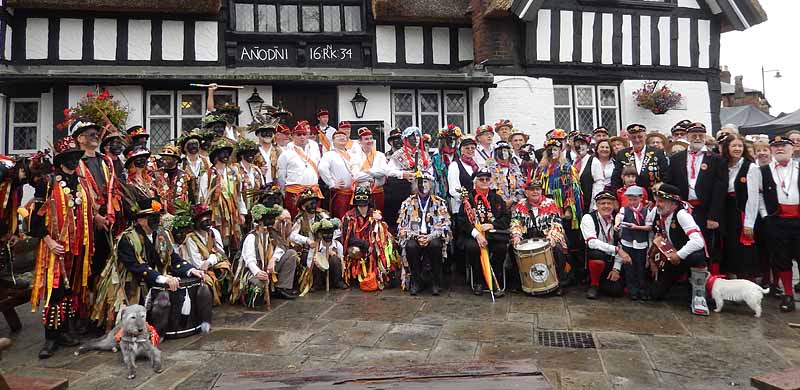 Click on the image for Jumbo Sized versio